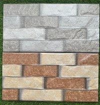 Gạch trang trí giá rẻ 25x50 HPDM 250123-250125