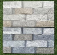 Gạch trang trí giá rẻ 25x50 HPDM 25019-250121