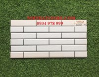 Gạch trang trí giá rẻ 25x50 W25502M