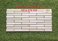 Gạch trang trí giá rẻ 25x50 W25505M