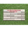 Gạch trang trí giá rẻ 25x50 W25506M