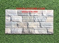 Gạch trang trí giá rẻ 25x50 W25507M