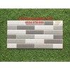 Gạch trang trí giá rẻ 25x50 W25508M