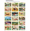 Gạch tranh 5D mã đáo thành công 016