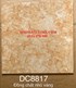 Gạch Trung Quốc 80x80 đồng chất khắc kim DC8817