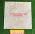 Gạch Trung Quốc 80x80 đồng chất khắc kim HL8883