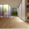 Gạch vân gỗ Đồng Tâm 2080WOOD009