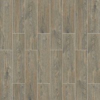 Gạch vân gỗ Đồng Tâm 2080WOOD011