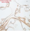 Gạch vi tinh ngọc thạch 100x100 HCT10109