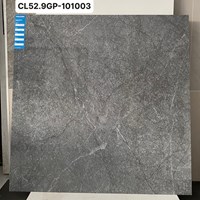 Gạch Viglacera 100x100 CL52-9GP101003