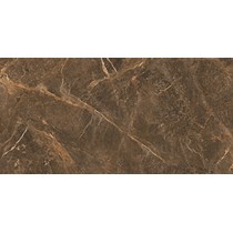 Gạch Viglacera 60x120 ECO-D61202