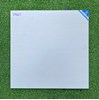Gạch Viglacera 60x60 mờ SM605