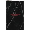 Gạch Vitto 60x120 3638 bóng