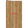Gạch Vitto 60x120 3645 matt