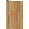 Gạch Vitto 60x120 3645 matt