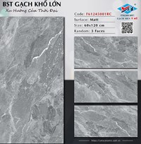 Gạch Ý Mỹ 60x120 F61245001RC mờ