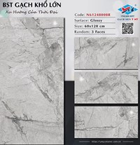 Gạch Ý Mỹ 60x120 N61248008R