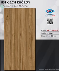 Gạch Ý Mỹ 60x120 P61245001C mờ