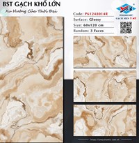 Gạch Ý Mỹ 60x120 P61248014R